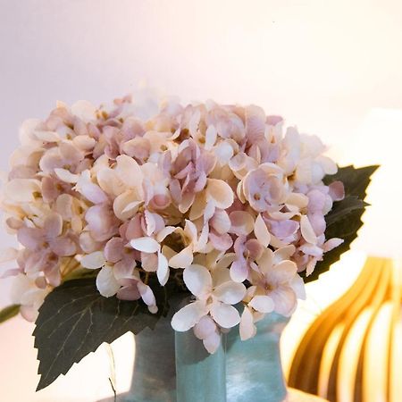 Pouso Primavera تيرادينتيس المظهر الخارجي الصورة